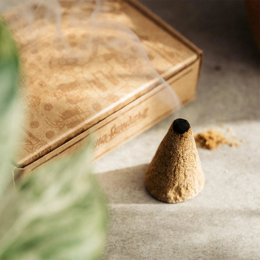Luna Sundara Palo Santo Incense Cones - Crowdless