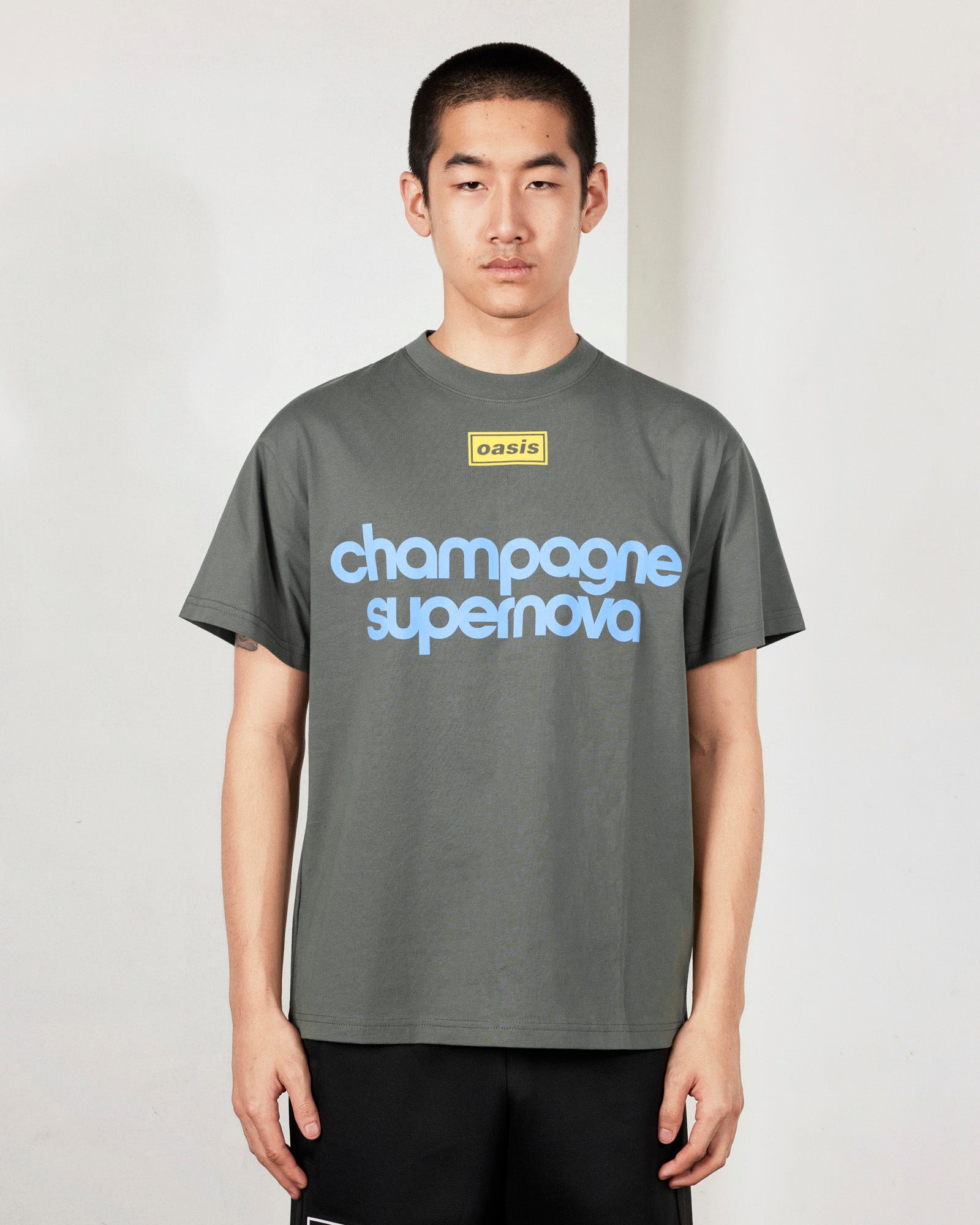 Pleasures Nordique T-Shirt - Faded Black - Crowdless