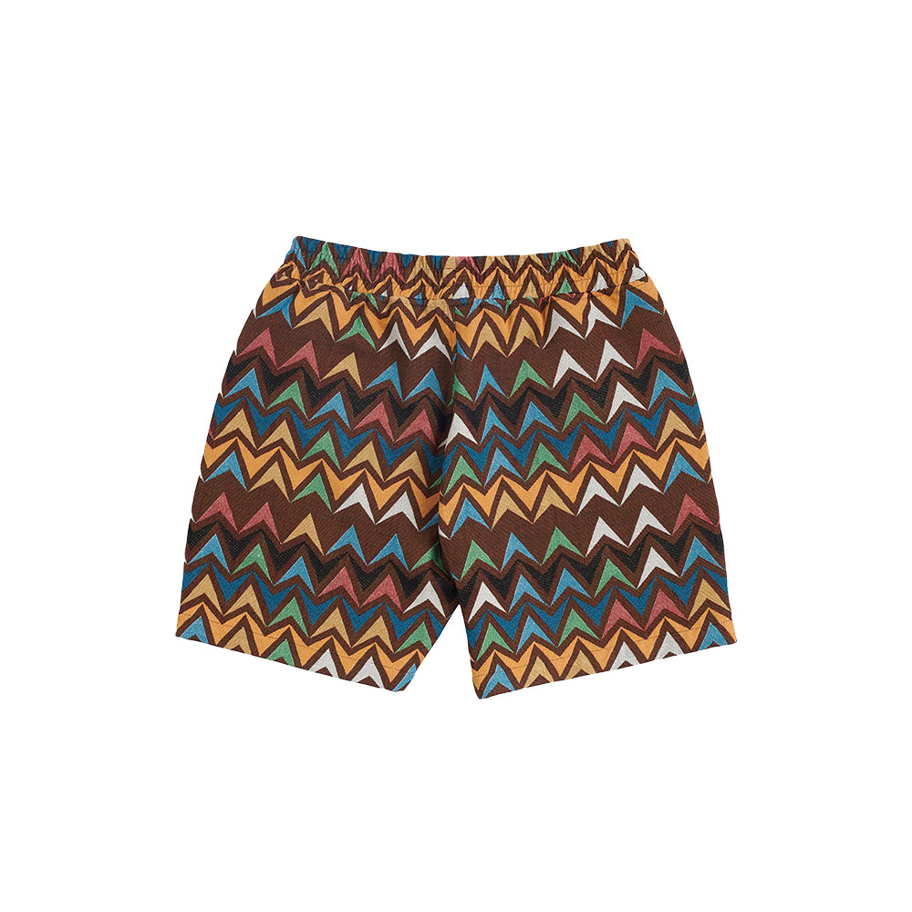 Pleasures Basket Woven Shorts - Multi/Brown - Crowdless